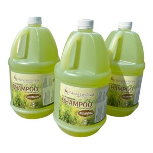 SHAMPOO MAXYBELLEZA GALON ROMERO